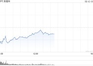 Lyft第四财季业绩不佳 股价下跌9%