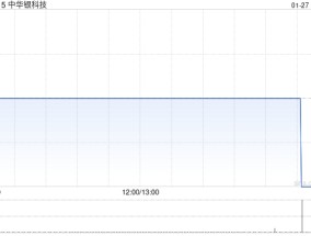 中华银科技完成发行1606.6万港元的可换股债券