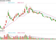 500亿元锂矿巨头宣布终止！亏损至少71亿元 四年来首次