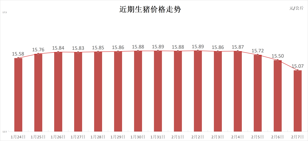 每日猪讯2.7